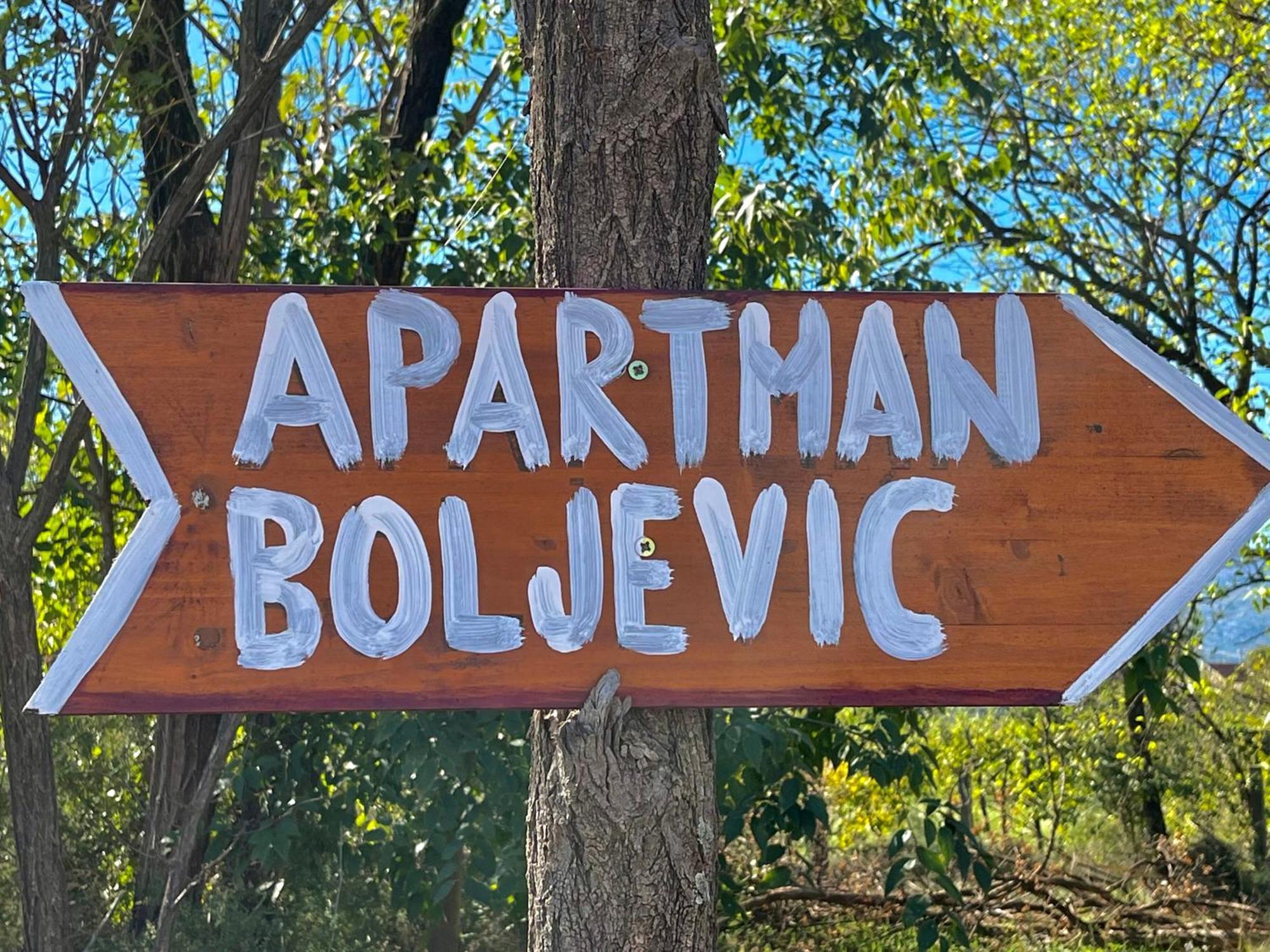 Apartman Boljevic Podgorica Exterior photo